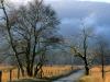 Sparks Lane, Cades Cove, Great Smoky Mountains N
